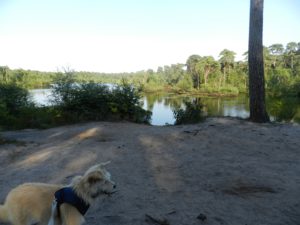 DSCN1578