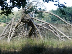 DSCN1630