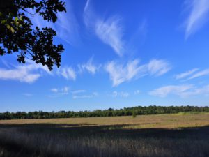 P1070081
