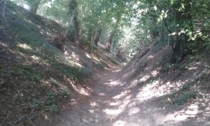 20180912_133923