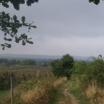 20180913_130723