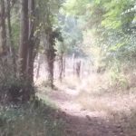 20180913_152425