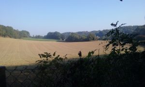20180914_093915