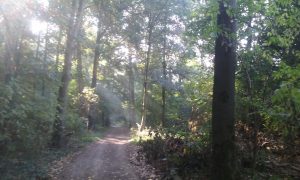 20180914_100458