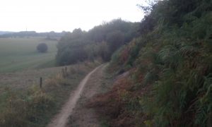 20180914_173536