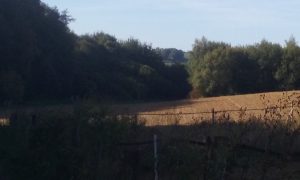 20180916_100959