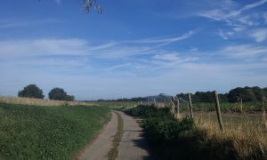 20180916_103425