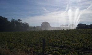 20180916_103927