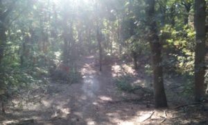 20180919_100058