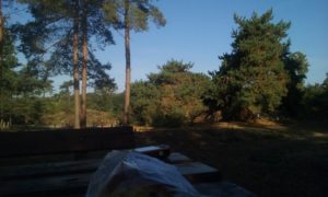 20180919_101358