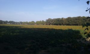 20180919_102239