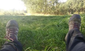 20180919_155529