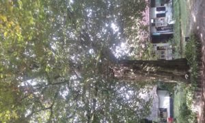 20180920_120838