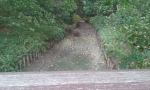 20180921_113050