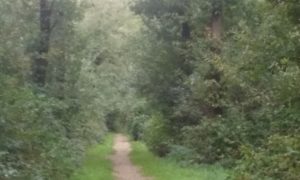 20180921_123359
