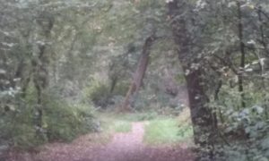 20180921_124004