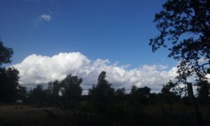 20180921_144002