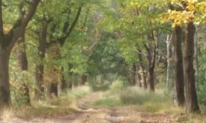 20180922_113141
