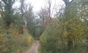 20180922_121623
