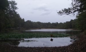 20180922_150031