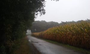 20180923_121057