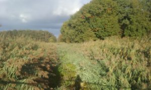20180924_090444