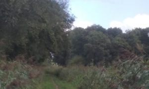20180924_132638