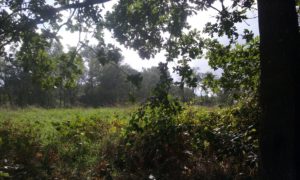20180924_140408