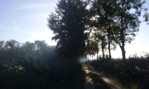 20180925_085952