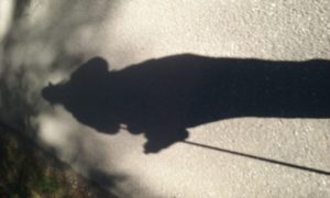 20180925_101646