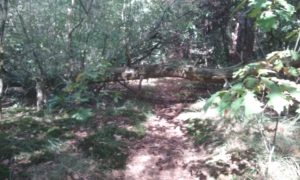 20180925_122056
