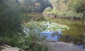20180925_130652