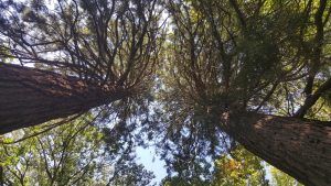IMG-20180911-WA0008